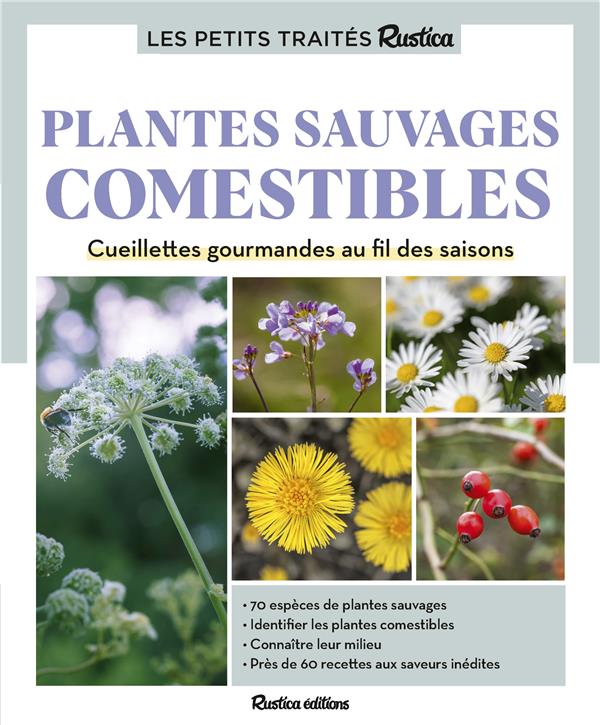 LE PETIT TRAITE RUSTICA DES PLANTES SAUVAGES COMESTIBLES - CUEILLETTES GOURMANDES AU FIL DES SAISONS