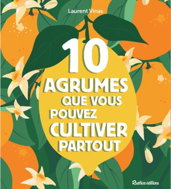 LES 10 AGRUMES QUE VOUS POUVEZ CULTIVER PARTOUT - EN POT OU PLEINE TERRE, AU NORD COMME AU SUD