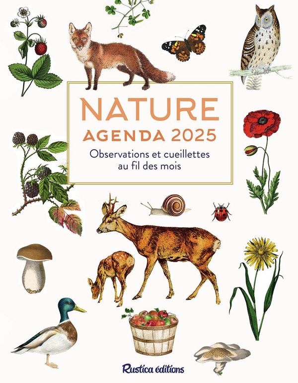 NATURE : AGENDA 2025 - OBSERVATIONS ET CUEILLETTES AU FIL DES MOIS