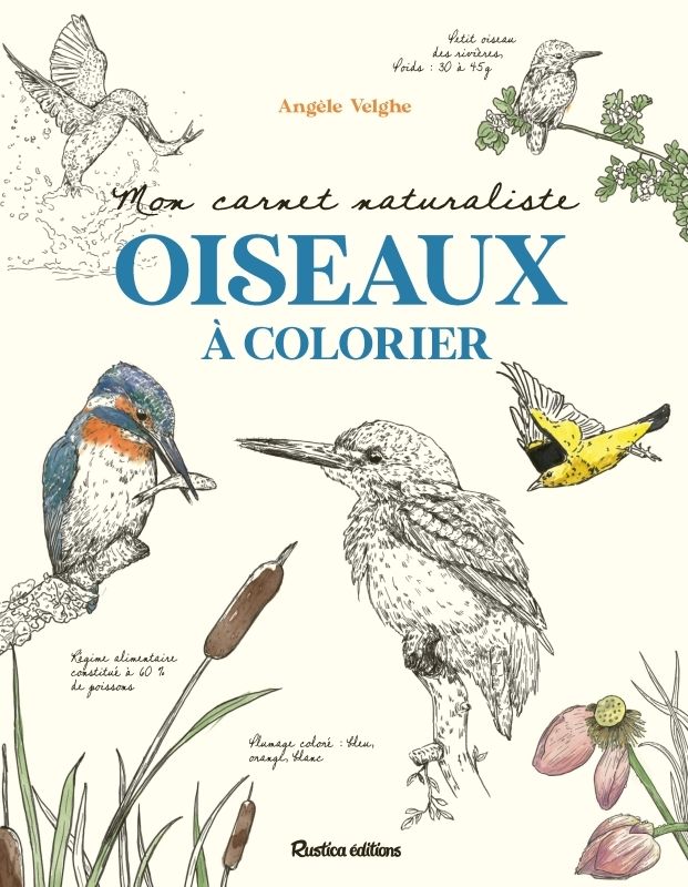 MON CARNET NATURALISTE OISEAUX A COLORIER