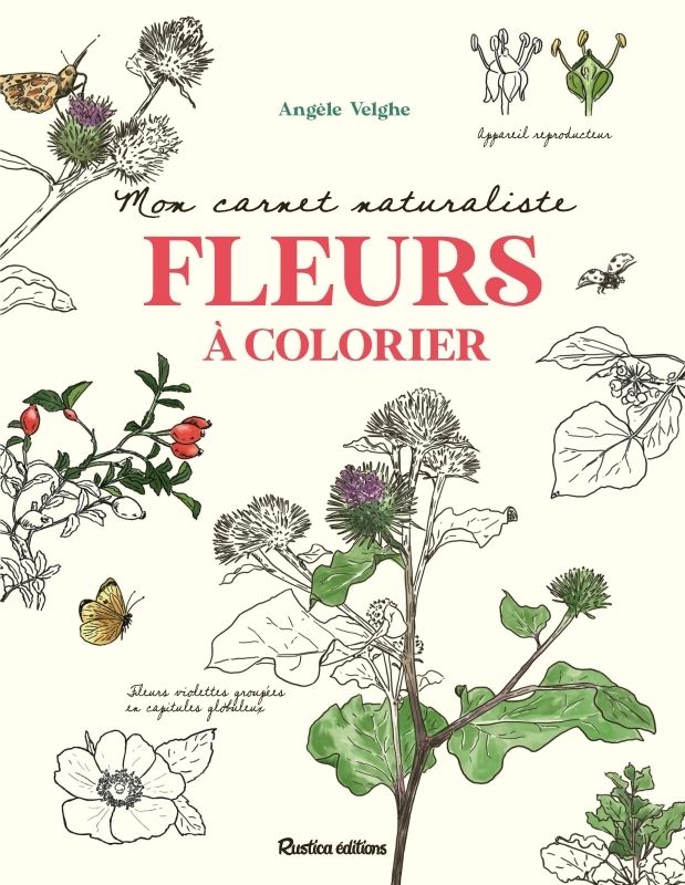 MON CARNET NATURALISTE FLEURS A COLORIER