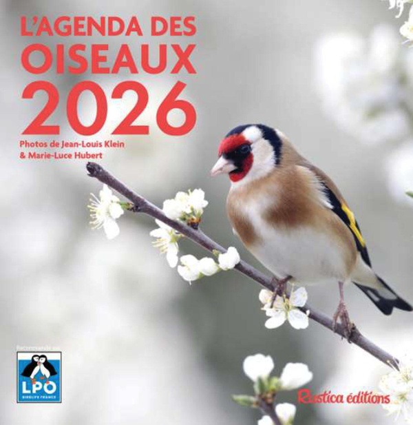 AGENDA DES OISEAUX 2026