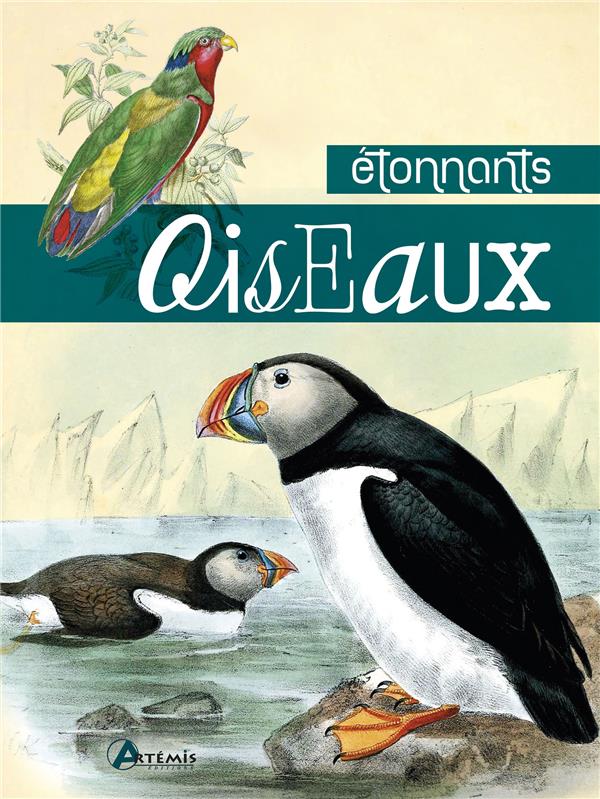 ETONNANTS OISEAUX
