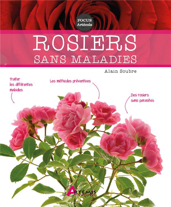 ROSIERS SANS MALADIES