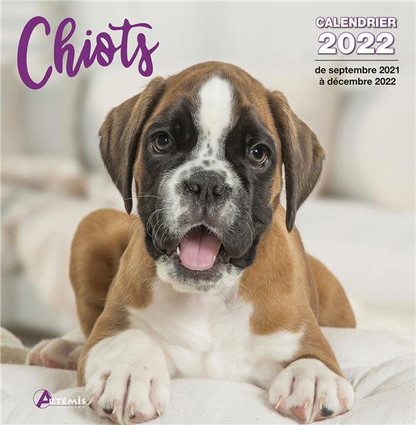 CALENDRIER CHIOTS 2022
