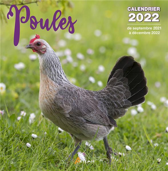 CALENDRIER POULES 2022
