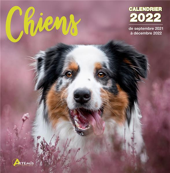 CALENDRIER CHIENS 2022