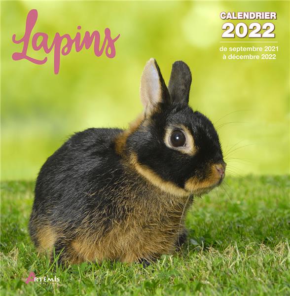 CALENDRIER LAPINS 2022