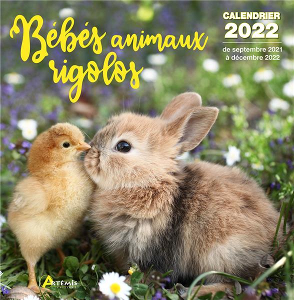 CALENDRIER BEBES ANIMAUX RIGOLOS 2022