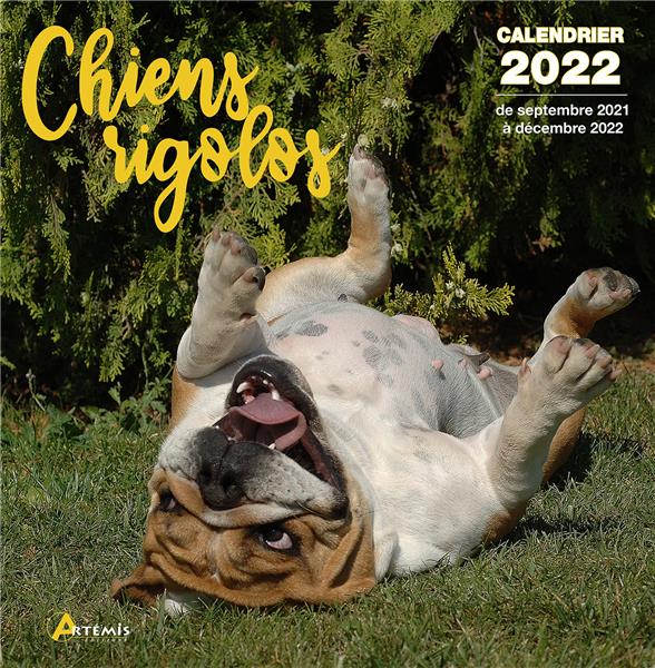 CALENDRIER CHIENS RIGOLOS 2022
