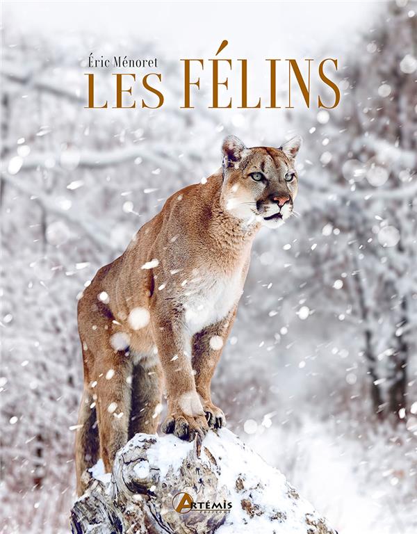 LES FELINS