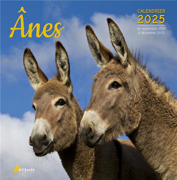 CALENDRIER ANES 2025