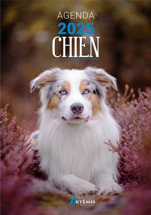 AGENDA CHIEN 2025