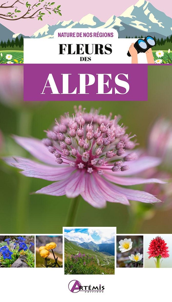 FLEURS DES ALPES