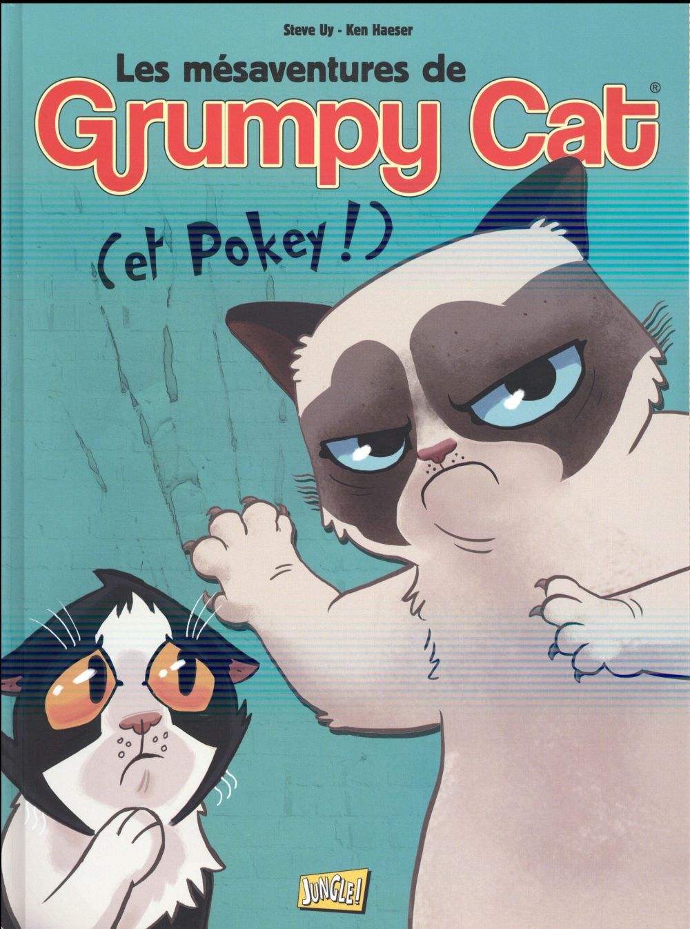 LES MESAVENTURES DE GRUMPY CAT (ET POKEY !) - TOME 1 - VOL01