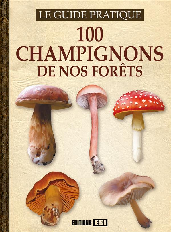 100 CHAMPIGNONS DE NOS FORETS