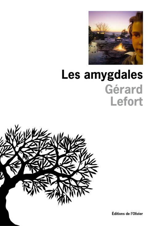 LES AMYGDALES