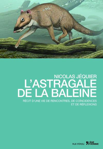 L'ASTRAGALE DE LA BALEINE