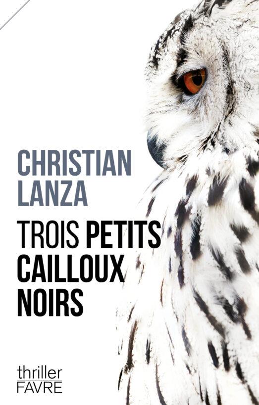 TROIS PETITS CAILLOUX NOIRS