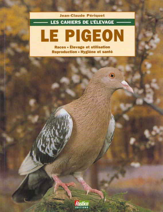 PIGEON (LE)