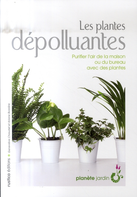 LES PLANTES DEPOLLUANTES