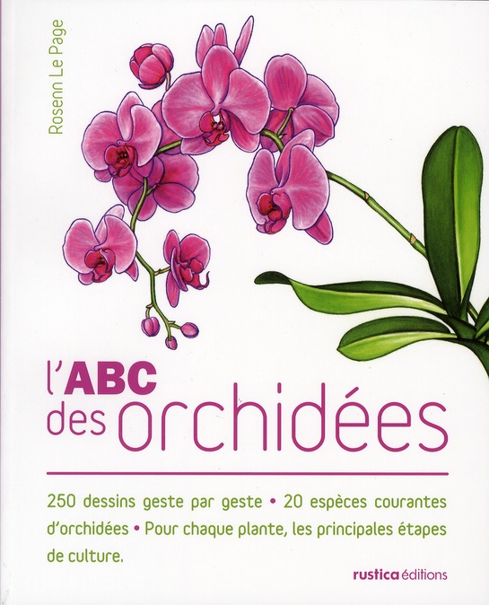 L'ABC DES ORCHIDEES - 250 DESSINS GESTE PAR GESTE - 20 ESPECES COURANTES D'ORCHIDEES - POUR CHAQUE P