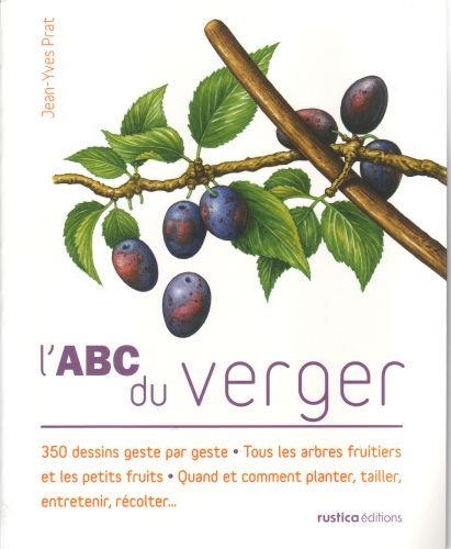 L'ABC DU VERGER - 350 DESSINS GESTE PAR GESTE - TOUS LES ARBRES FRUITIERS ET LES PETITS FRUITS - QUA