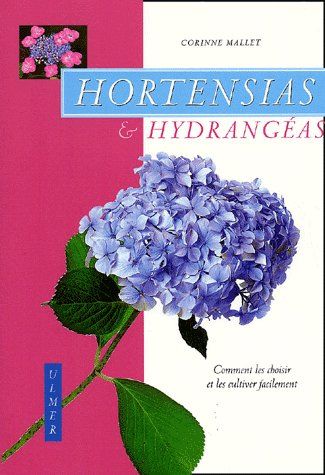 HORTENSIAS & HYDRANGEAS