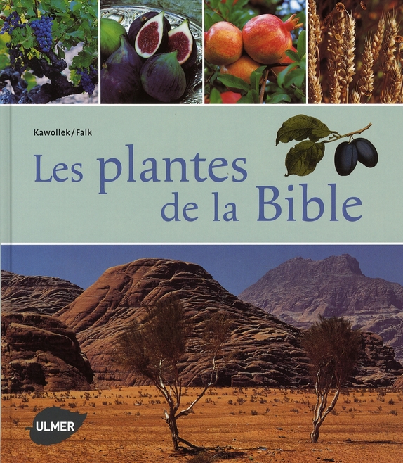 LES PLANTES DE LA BIBLE