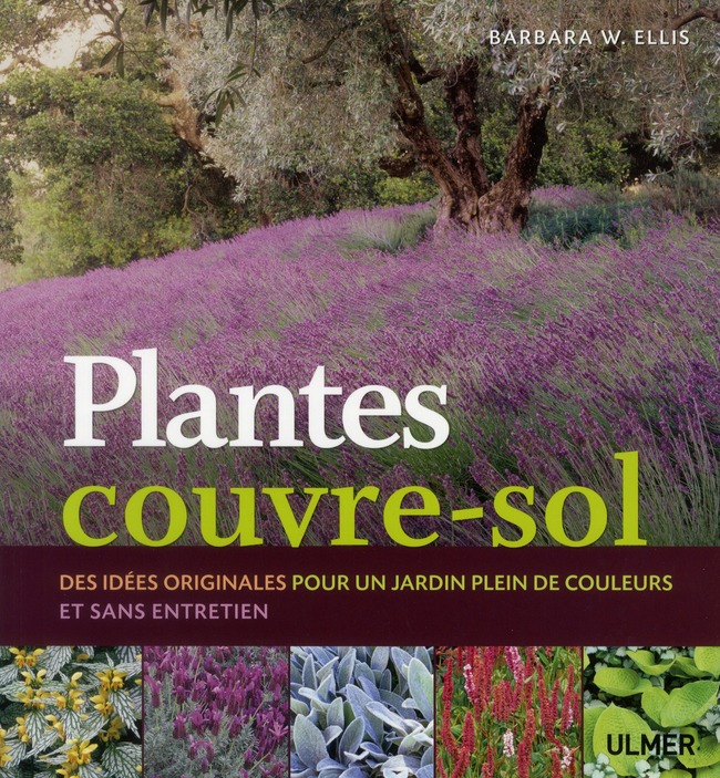 PLANTES COUVRE-SOL. DES IDEES ORIGINALES POUR UN JARDIN PLEIN DE COULEURS ET SANS ENTRETIEN