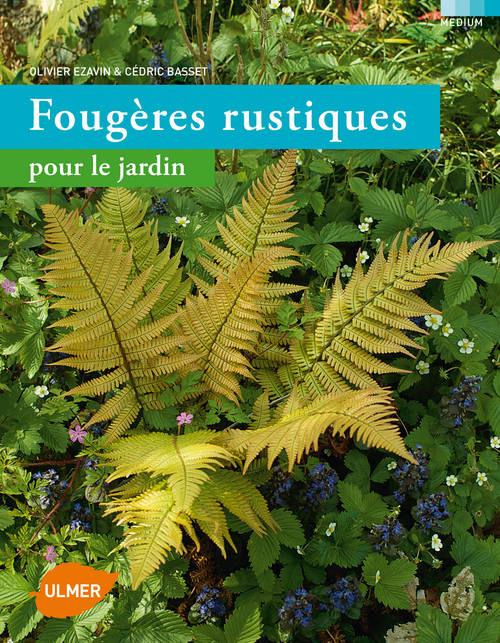 FOUGERES RUSTIQUES POUR LE JARDIN