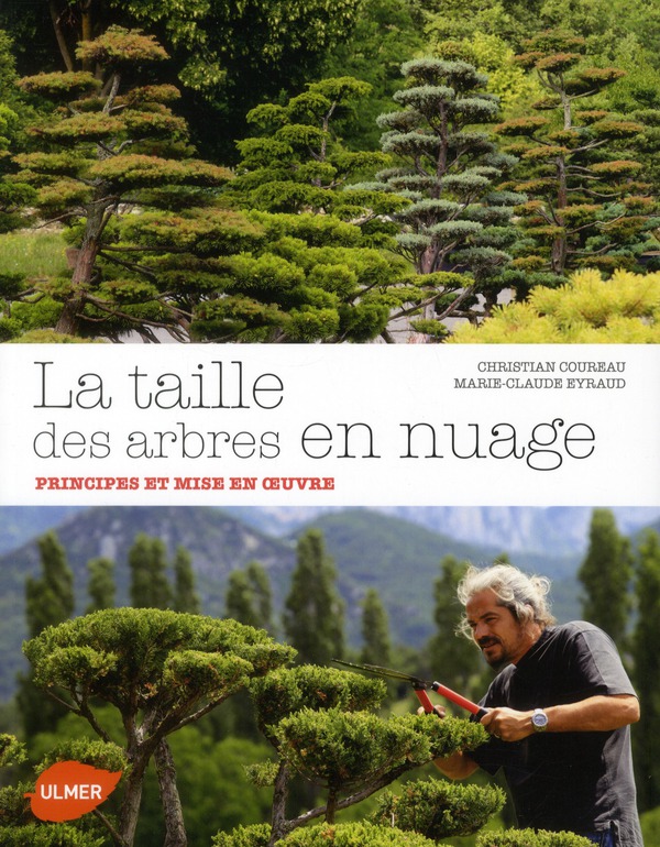 LA TAILLE DES ARBRES EN NUAGE