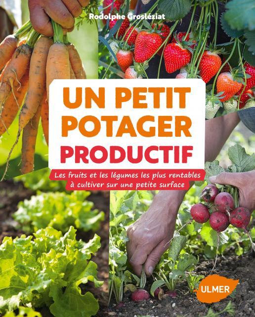 UN PETIT POTAGER PRODUCTIF