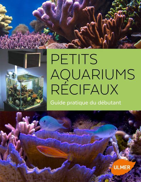PETITS AQUARIUMS RECIFAUX