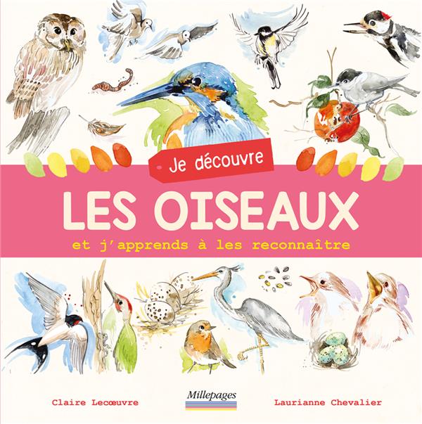 JE DECOUVRE LES OISEAUX - ET J'APPRENDS A LES RECONNAITRE