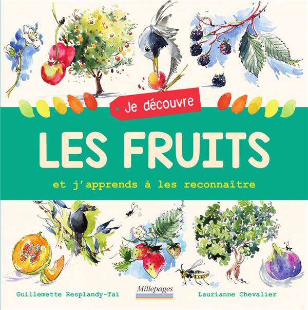 JE DECOUVRE LES FRUITS - ET J'APPRENDS A LES RECONNAITRE