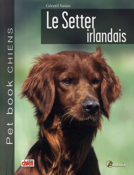 LE SETTER IRLANDAIS