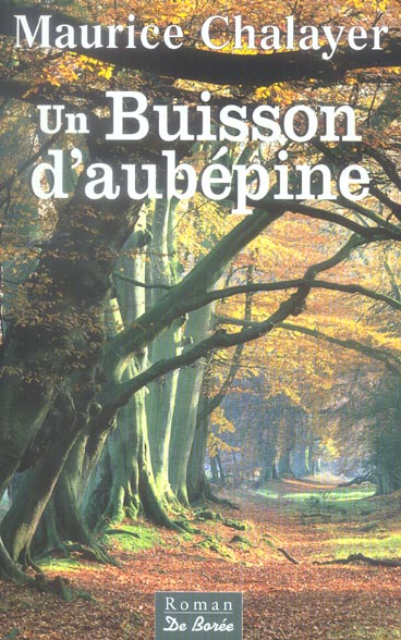 BUISSON D AUBEPINE (UN)