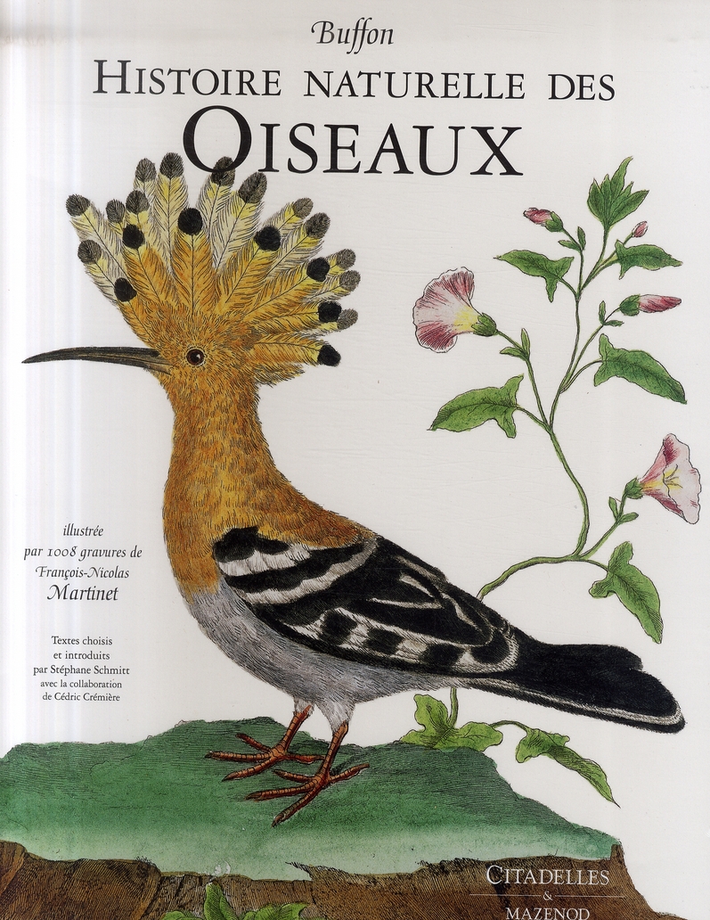 LES OISEAUX DE BUFFON ET DE MARTINET