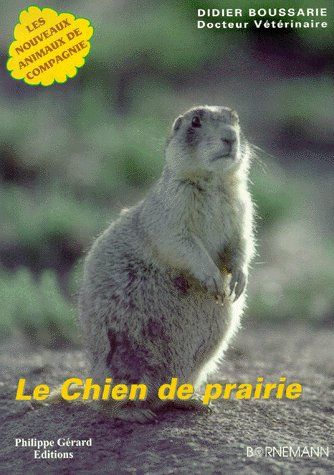 CHIEN DE PRAIRIE