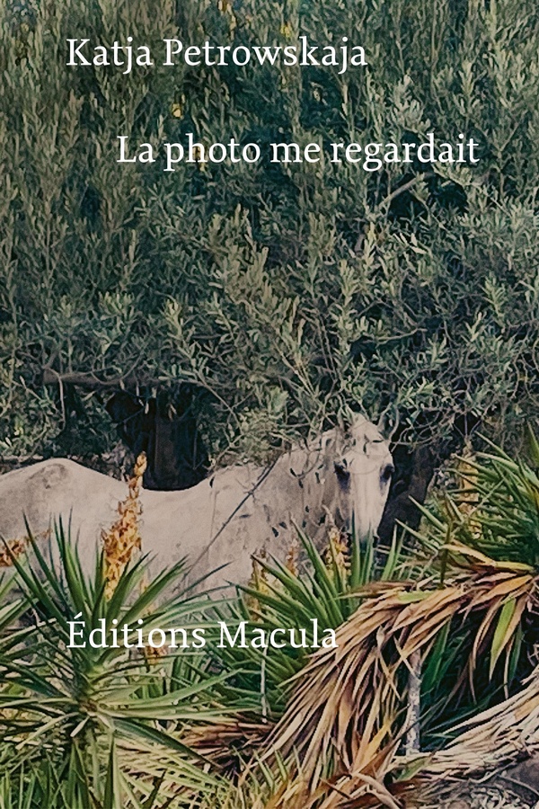 LA PHOTO ME REGARDAIT