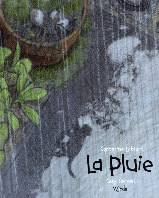 PLUIE