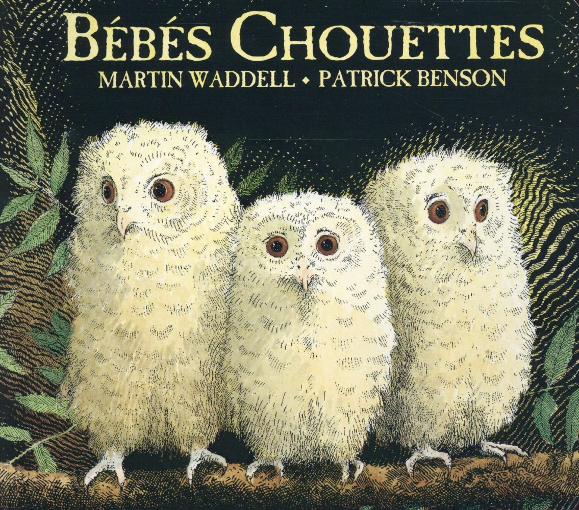 BEBES CHOUETTES (TOUT CARTON)