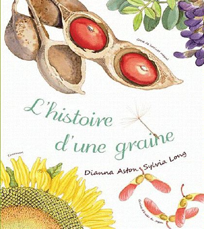 L'HISTOIRE D'UNE GRAINE