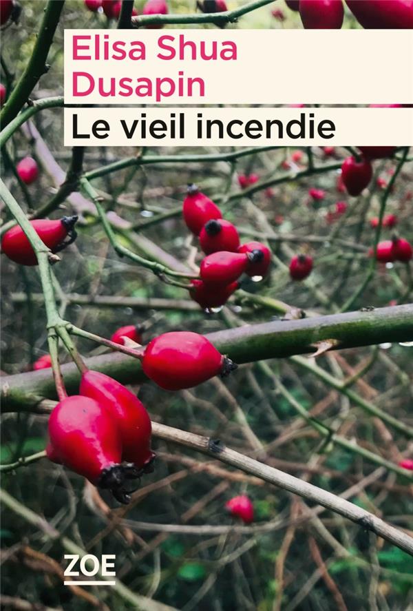 LE VIEIL INCENDIE