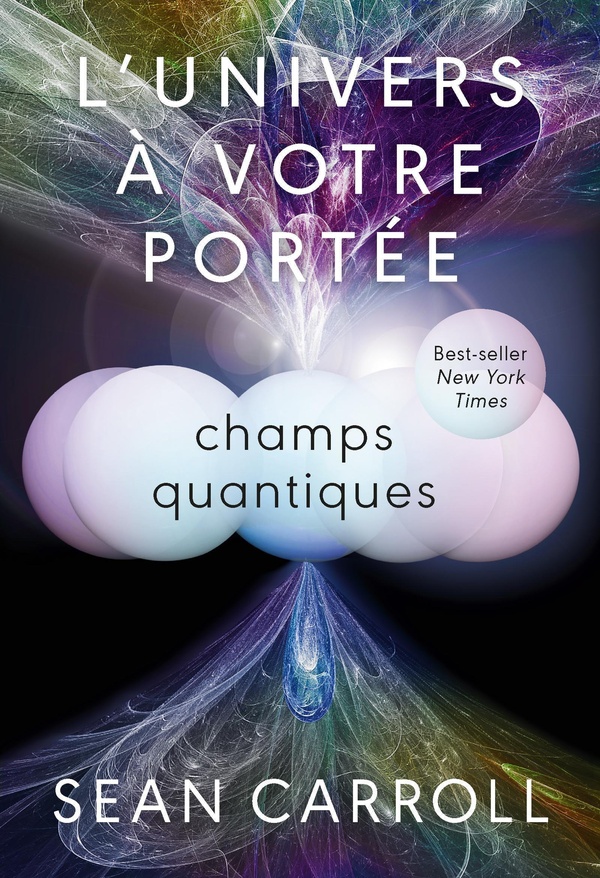 L'UNIVERS A VOTRE PORTEE - CHAMPS QUANTIQUES