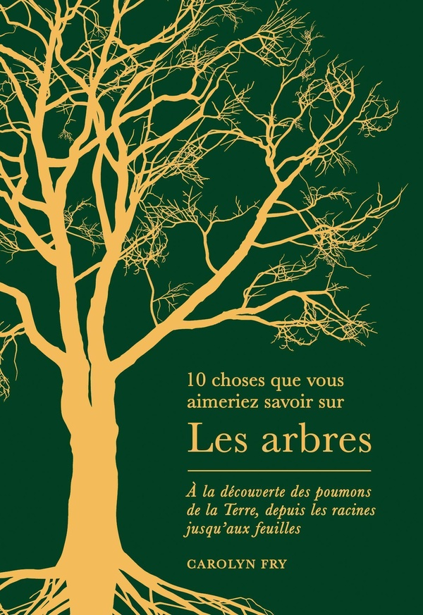 10 CHOSES QUE VOUS AIMERIEZ SAVOIR SUR LES ARBRES - A LA DECOUVERTE DES POUMONS DE LA TERRE, DEPUIS