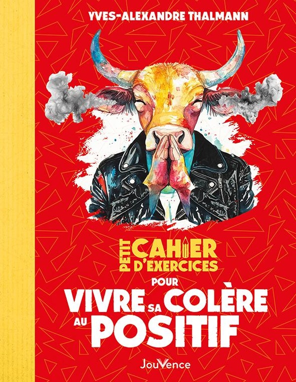 PETIT CAHIER D'EXERCICES POUR VIVRE SA COLERE AU POSITIF