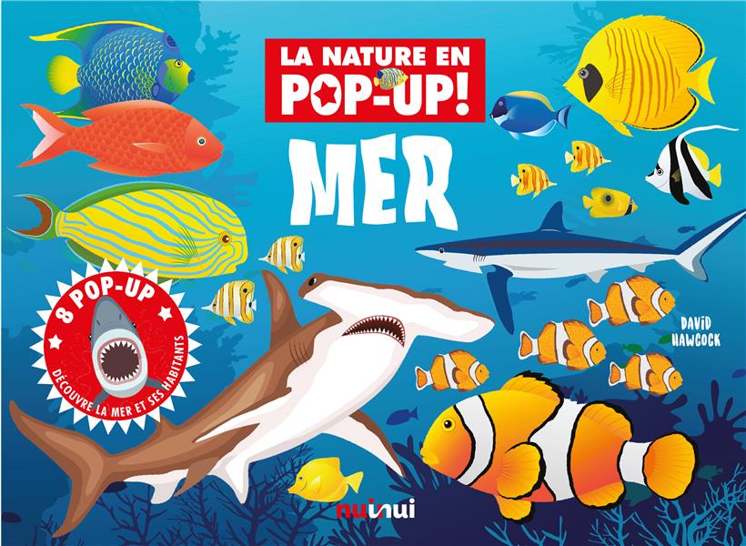 LA NATURE EN POP-UP - MER