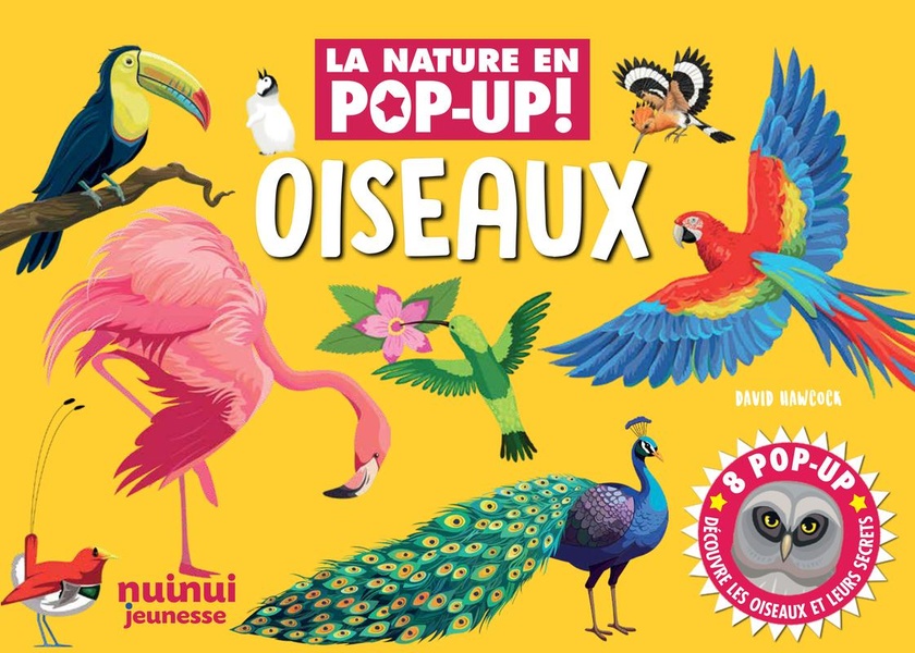 LA NATURE EN POP-UP - OISEAUX